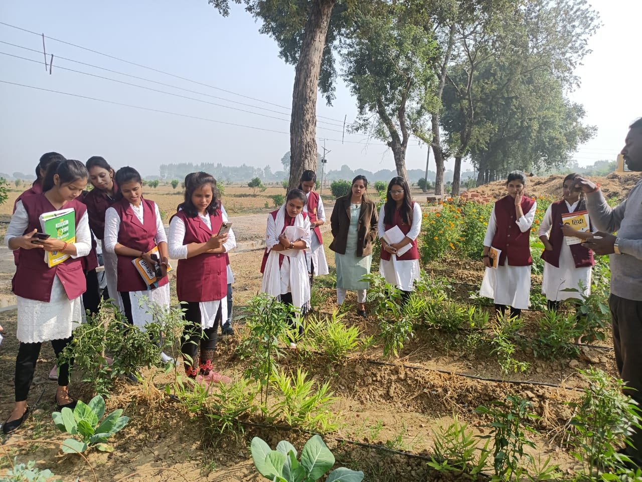Plantation and field study drive